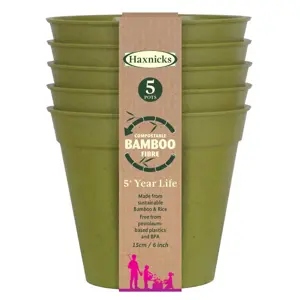 Bamboo 6" Sage Green Pot Pack Of 5