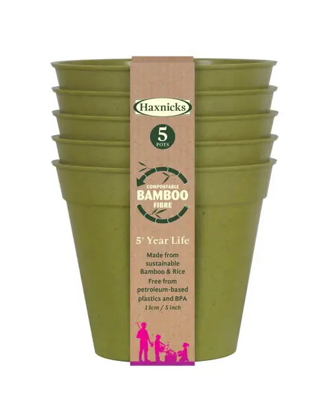 Bamboo 5" Sage Green Pot Pack Of 5 - image 1