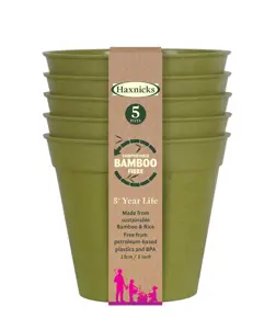 Bamboo 5" Sage Green Pot Pack Of 5