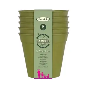 Bamboo Pot 3" Sage Green Pack Of 5