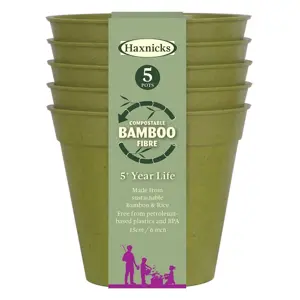 Bamboo Pot 6" Sage Green Pack of 5