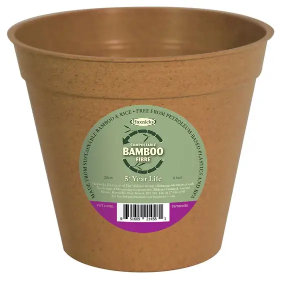 Bamboo Pot 8" Terracotta