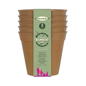 Bamboo Pot 3" Terracotta Pack Of 5