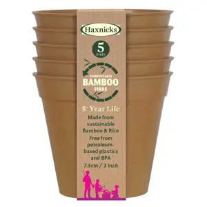 Bamboo Pot - Terracotta