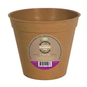 Bamboo 8" Terracotta Pot