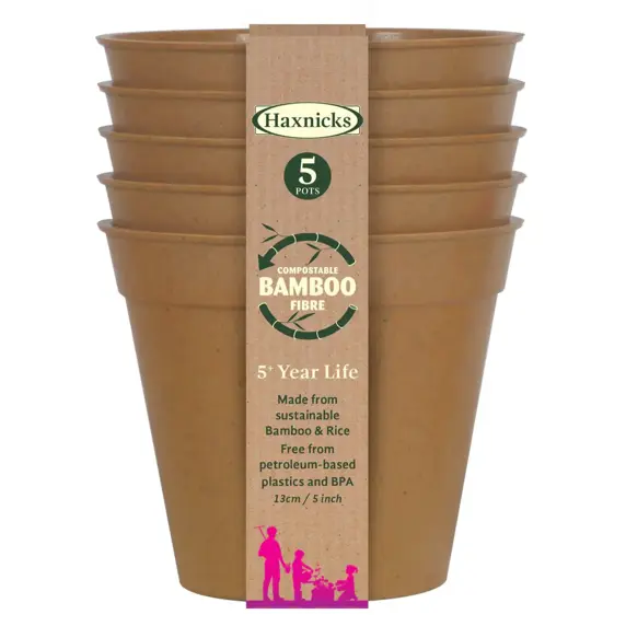 Bamboo 5" Terracotta Pot Pack of 5 - image 1