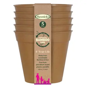 Bamboo 5" Terracotta Pot Pack of 5