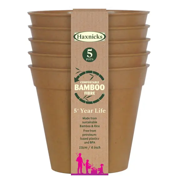 Bamboo 6" Terracotta Pot Pack of 5 - image 1