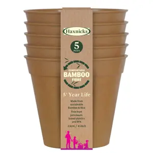 Bamboo 6" Terracotta Pot Pack of 5