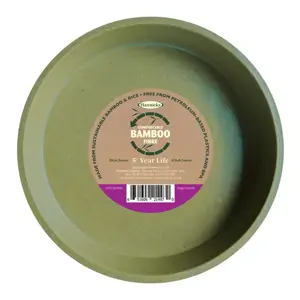 Bamboo 8" Sage Green Saucer - image 1