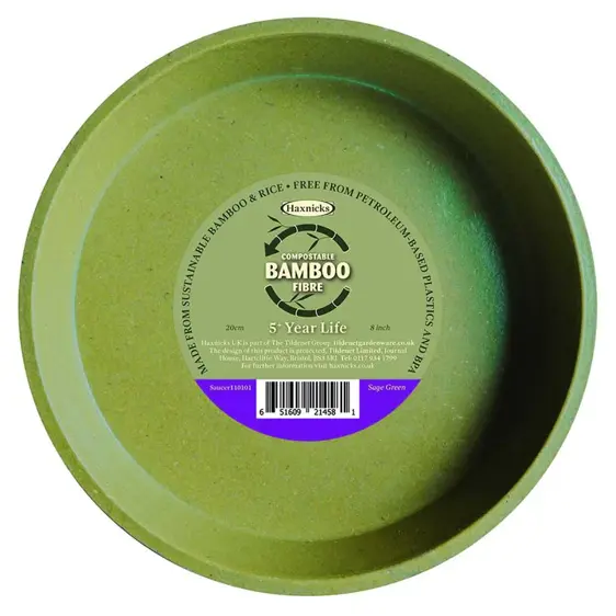 Bamboo Saucer 8" Sage Green