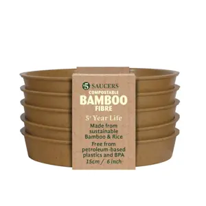 Bamboo 6" Terracotta Saucer Pack of 5