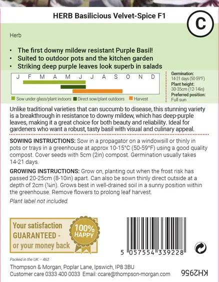Basil Basilicious Velvet-Spice F1 Seeds - image 2