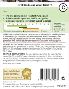 Basil Basilicious Velvet-Spice F1 Seeds - image 2