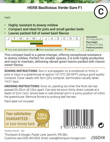 Basil Basilicious Verde-Sure F1 Seeds - image 2