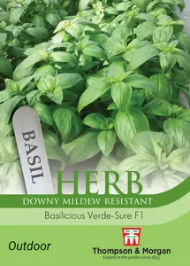Basil Basilicious Verde-Sure F1 Seeds - image 1