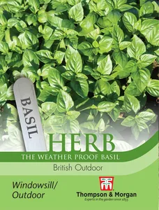 Basil British Outdoor - image 1