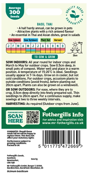 Basil Thai - image 2