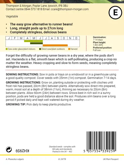 Bean (Climbing) Hacienda Seeds - image 2