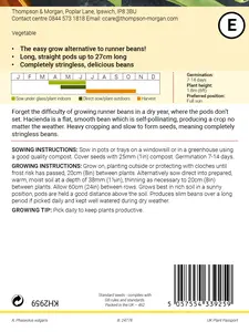 Bean (Climbing) Hacienda Seeds - image 2