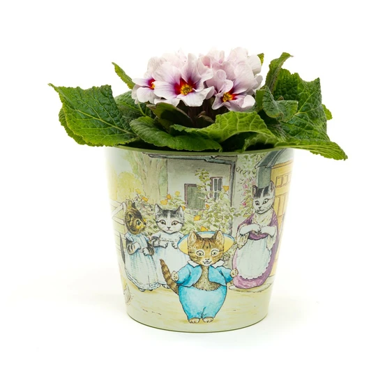 Beatrix Potter Tom Kitten Eco Pot Set - image 1