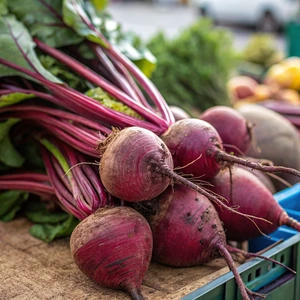 Beetroot 'Babybeat' 8.5cm