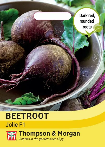 Beetroot Jolie F1 - image 1