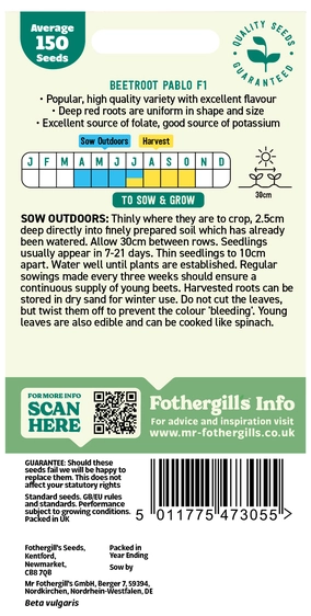 Beetroot Pablo F1 Seeds - image 2