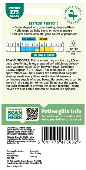 Beetroot Perfect 3 Seeds - image 2