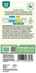 Beetroot Renova Seeds - image 2