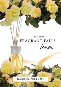 Begonia 'Fragrant Falls Lemon' 12cm - image 3