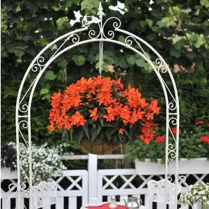 Picture Credit - Dümmen Orange