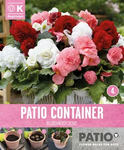 Begonia Sorbet Shades