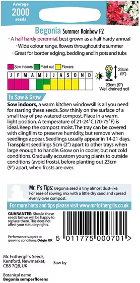 Begonia Summer Rainbow F2 - image 2