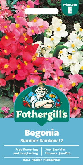 Begonia Summer Rainbow F2 Seeds - image 1