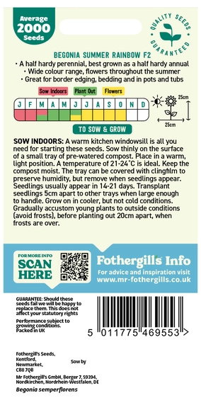 Begonia Summer Rainbow F2 Seeds - image 2