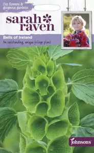 Bells of Ireland - image 1