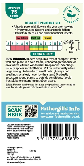 Bergamot Panorama Mixed Seeds - image 2