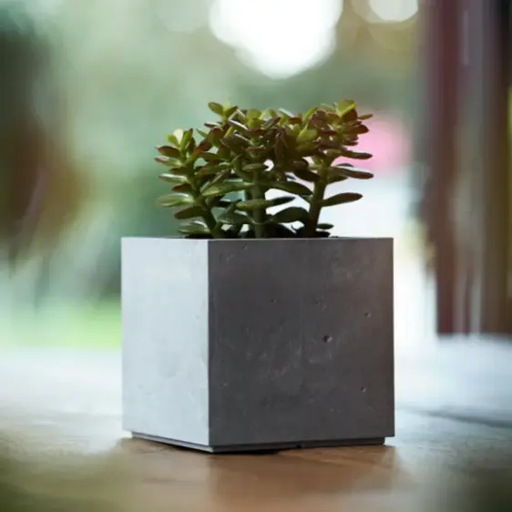 Beton Cube Planter - 11cm - image 1