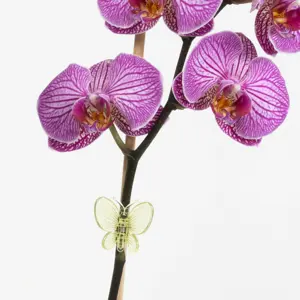 BetterGrow Plant Support Butterfly Clips - image 2