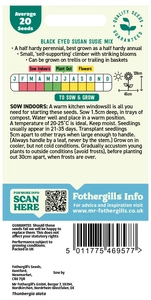 Black Eyed Susan Susie Mixed Seeds - image 2