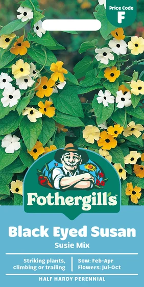 Black Eyed Susan Susie Mixed Seeds - image 1