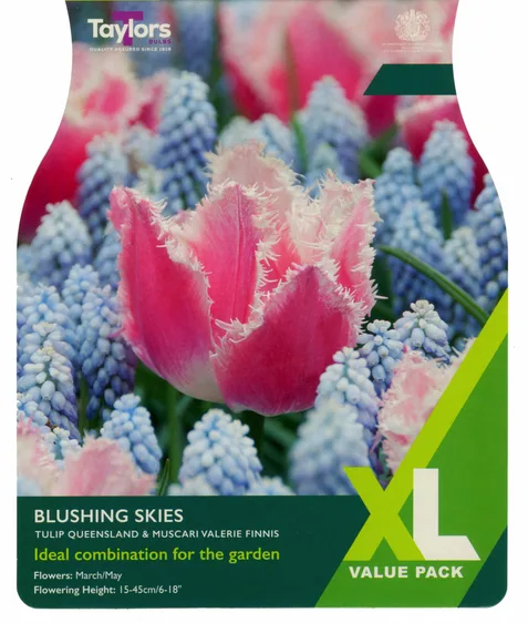 Blushing Skies Bulb Collection