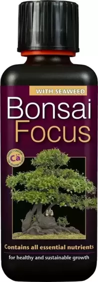Bonsai Focus 300ml - image 1