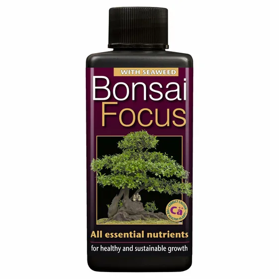 Bonsai Focus Plant Food 100ml