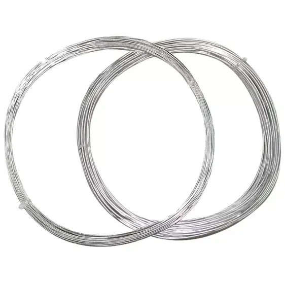 Galvanised Garden Wire 2mm - image 2