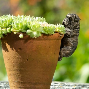 British Bulldog Pot Buddy - image 3