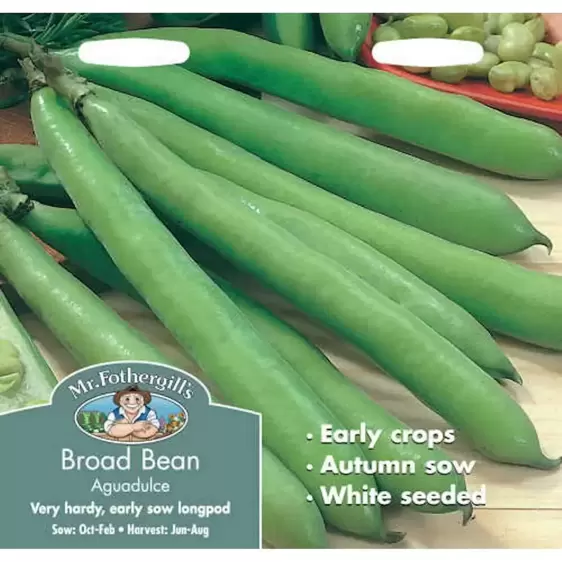 Broad Bean Aguadulce - image 1