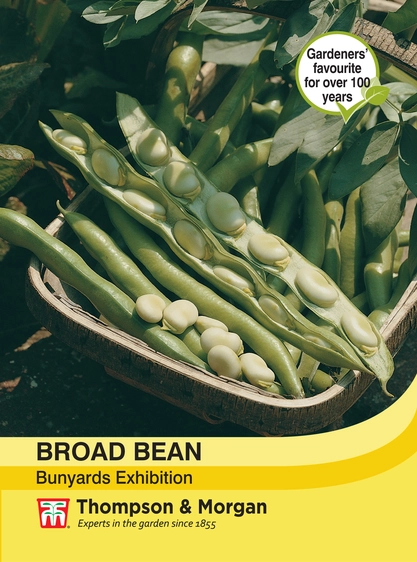 Broad Bean Bunyards Exhibition - image 1