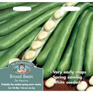 Broad Bean De Monica - image 1